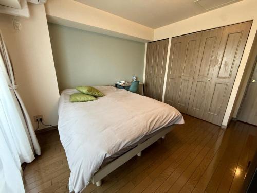 Toyohira Apartment | 7-3美室 豊平川目の前 札幌中心から地下鉄2駅の眺望良好の部屋