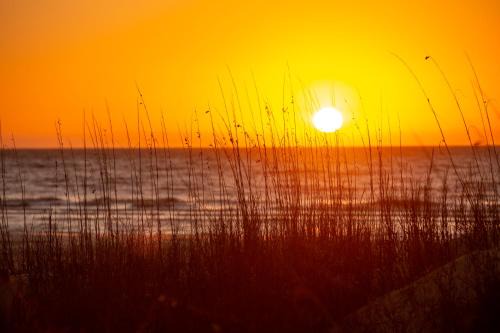 Harbour Town House | 829 Ketch Court at The Sea Pines Resort
