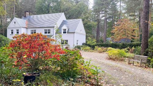 Wuustwezel House | A Calm & Quiet Stay