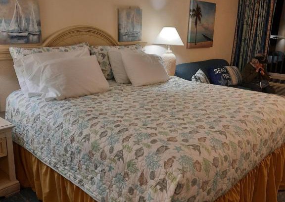 Ortona Park Apartment | A Happy Seashell Story