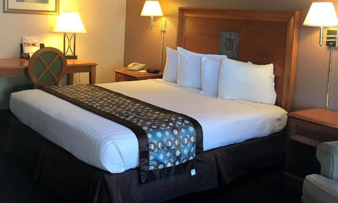 North Loop House | A Lovely Suite W/ Outdoor Swimming Pool