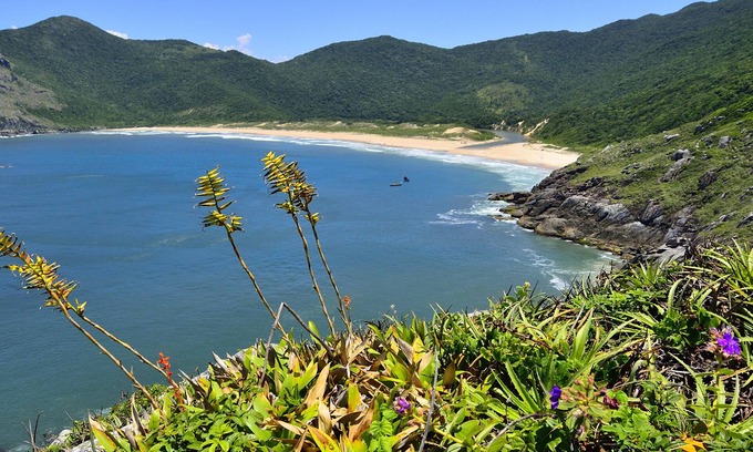 Lagoa da Conceicao Apartment | A piece of paradise - Florianopolis