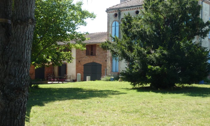 Lacourt-Saint-Pierre Other | A whole field for you