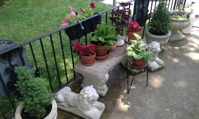 Jenkintown Apartment | Abington Jenkintown Two Bedroom apartment in Philadelphia Suburbs