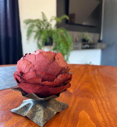 Ouro Preto House | Acomodação Bela Vista