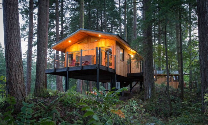 Stevenson Cabin | ADA Luxury Tree House in Heart of Washington