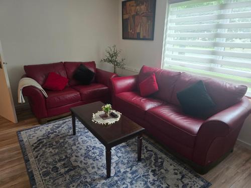 Pittencrieff Apartment | Aelin house