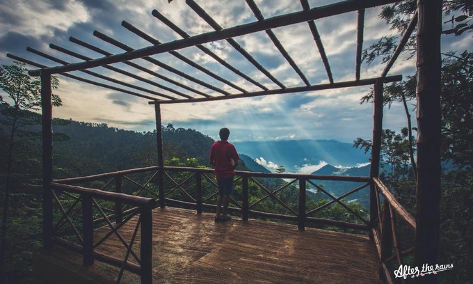 Meppadi Resort | After the Rains - Rainforest Lodge