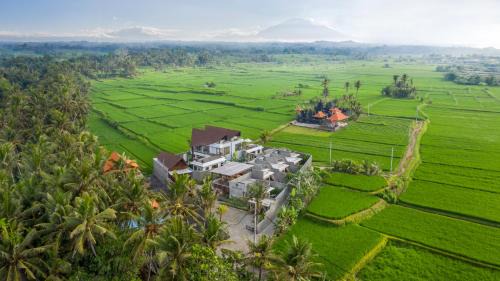 Ketewel Hotel | Agrapana Beach Villa