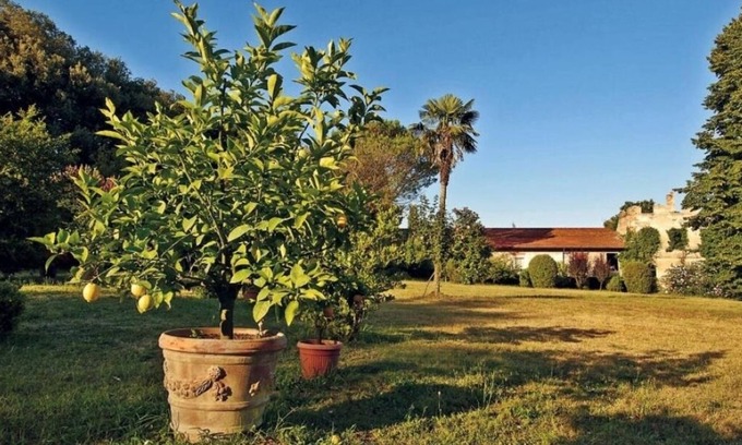 Vicopelago Other | AGRITOURISM FARM BIGONGIARI