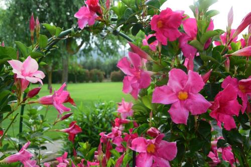 Castiglione della Pescaia House | Agriturismo Bocci