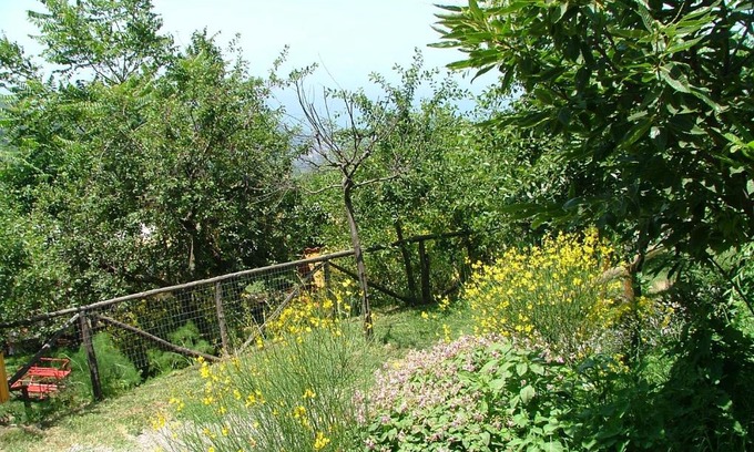 Moiano House | Agriturismo La Ginestra