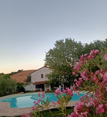 Scansano House | Agriturismo La Locandiera