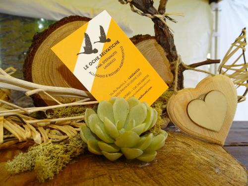 Pavia di Udine House | Agriturismo Le oche selvatiche