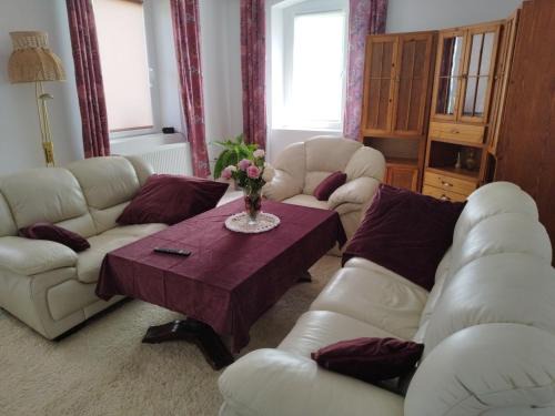 Mirsk House | Agroturystyka Puchatek