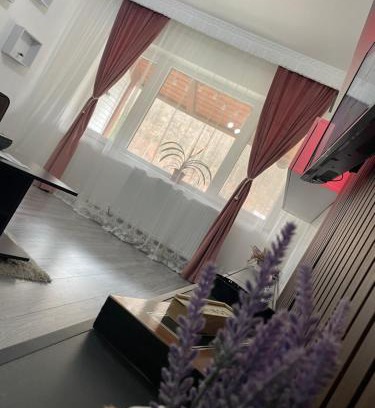 Slanic-Moldova Apartment | AKY Residence