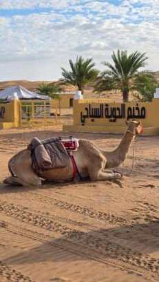 Al Kamil Other | AL hawiyah camp