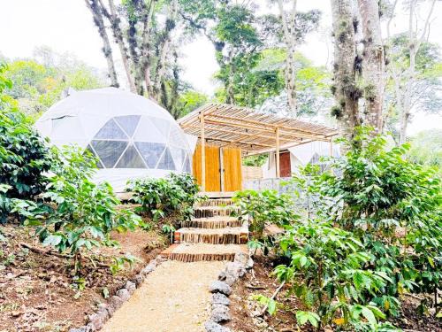 Coatepec Other | Alma Glamping