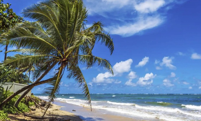 Hauula House | Aloha House - w/boogie board, snorkel gear!