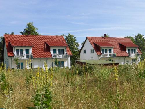 Loddin Apartment | Alter Schulgarten