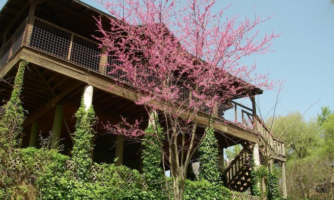 Bastrop Cabin | AMAZING LOG TREEHOUSE CABIN ON THE COLORADO RIVER