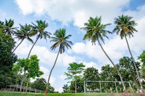 Gandevi Resort | Ambik Riverside Camp And Resort
