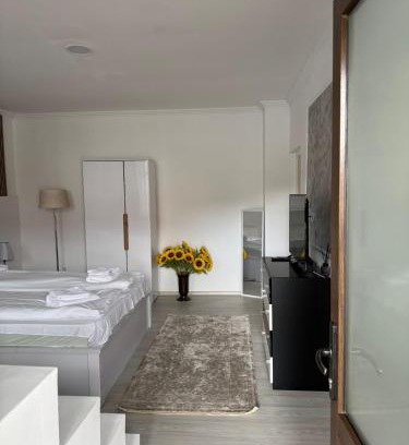 Ocna Mures Apartment | AME Home