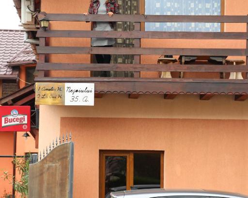 Fagaras House | Amelia House