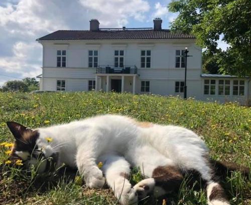 Nattraby Bed & Breakfast | Amiralsgården Verstorp