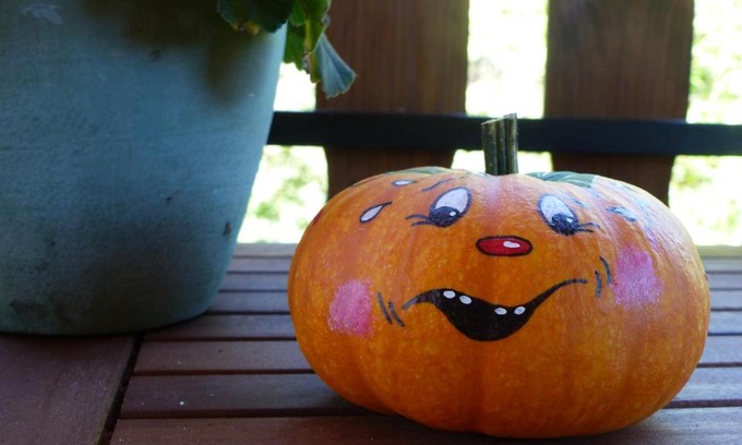 Treppendorf Apartment | Amselgarten