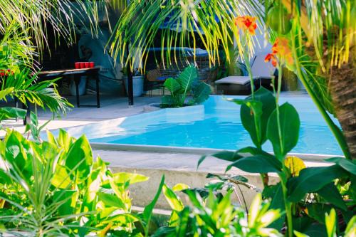 Basdiot House | Ananas Guesthouse