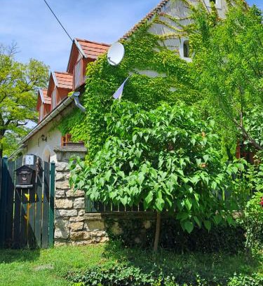 Vaszoly House | Andante Vendégház