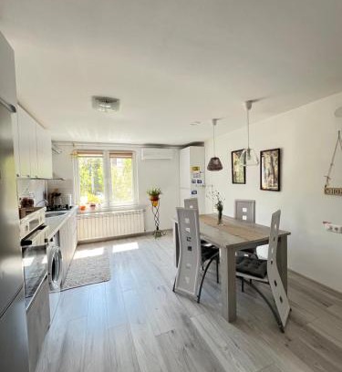 Ocna Mures Apartment | Ank's Apartment