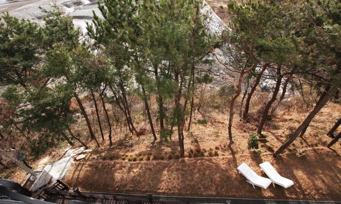 Nam Hotel | Anmyeongdo Oshu