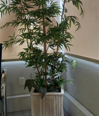 Rio Branco Apartment | Apart acessível