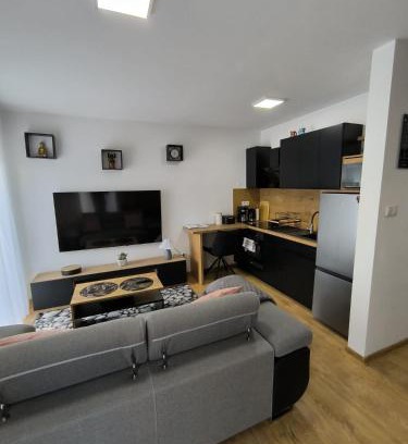Olawa Apartment | Apartament Centrum