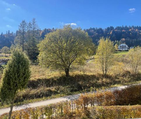 Cisna Apartment | Apartament Ciśnianka