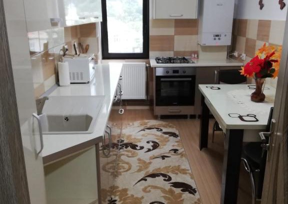 Tirgu Ocna Apartment | Apartament Ioana