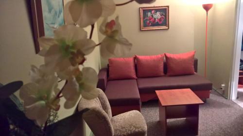 Augustow Apartment | Apartament Konopnicka