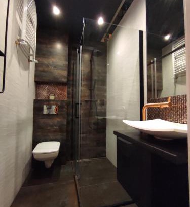 Stare Miasto District Apartment | Apartament Loftowy Wypoczynek GoldAir