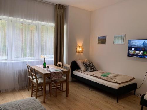 Cedynia Apartment | Apartament Odertal