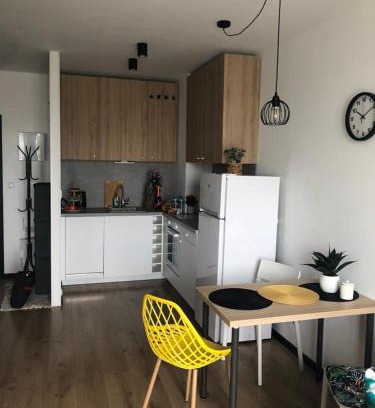 Nowy Dwor Mazowiecki Apartment | Apartament Pileckiego Nowy Dwór Mazowiecki Airport Modlin 24 H