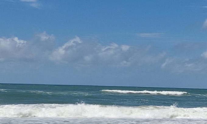 Praia do Ervino Apartment | Apartamento 103 Praia do Ervino - SFS