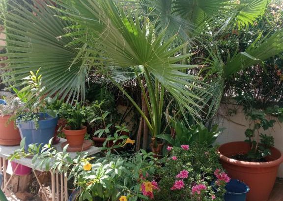 Cenes de la Vega Villa | Apartamento pico del veleta