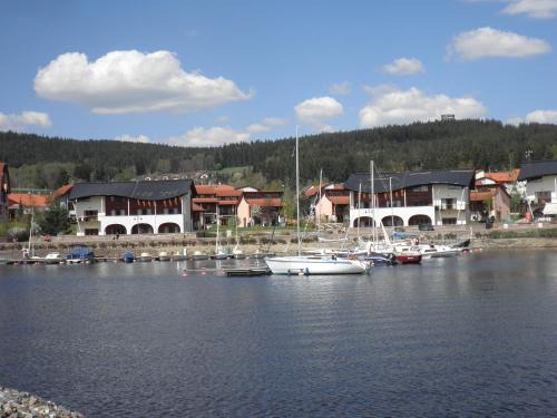 Lipno nad Vltavou Apartment | apartement lipno nad vltavou pro 4 až 6 osob