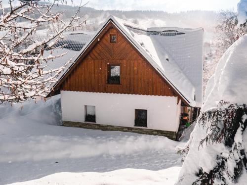 Rokytnice nad Jizerou Apartment | Apartmán Karel a Martina