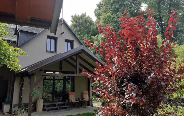 Jindrichuv Hradec Apartment | Apartmán v Podzámčí