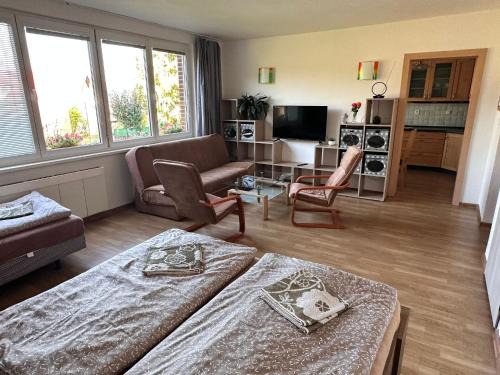 Cesky Krumlov Apartment | Apartmány U rybníka