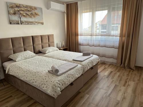 Zajecar Apartment | Apartman Ćirić
