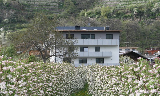 Silandro Apartment | Apartment "Apple Blossom" with large balcony